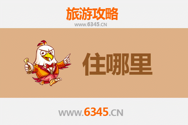 洛阳瀍河回族区旅游民宿全攻略：沉浸式体验文化与风情